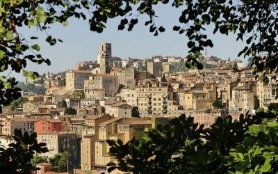 Introducing Jean Niel SAS