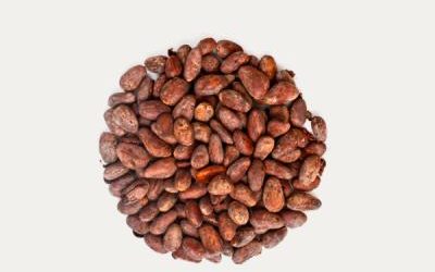 Cocoa Butter : Another super ingredient from cocoa bean