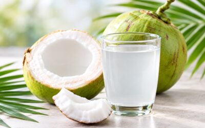 Coconut Water Ingredient: Composition & Applications